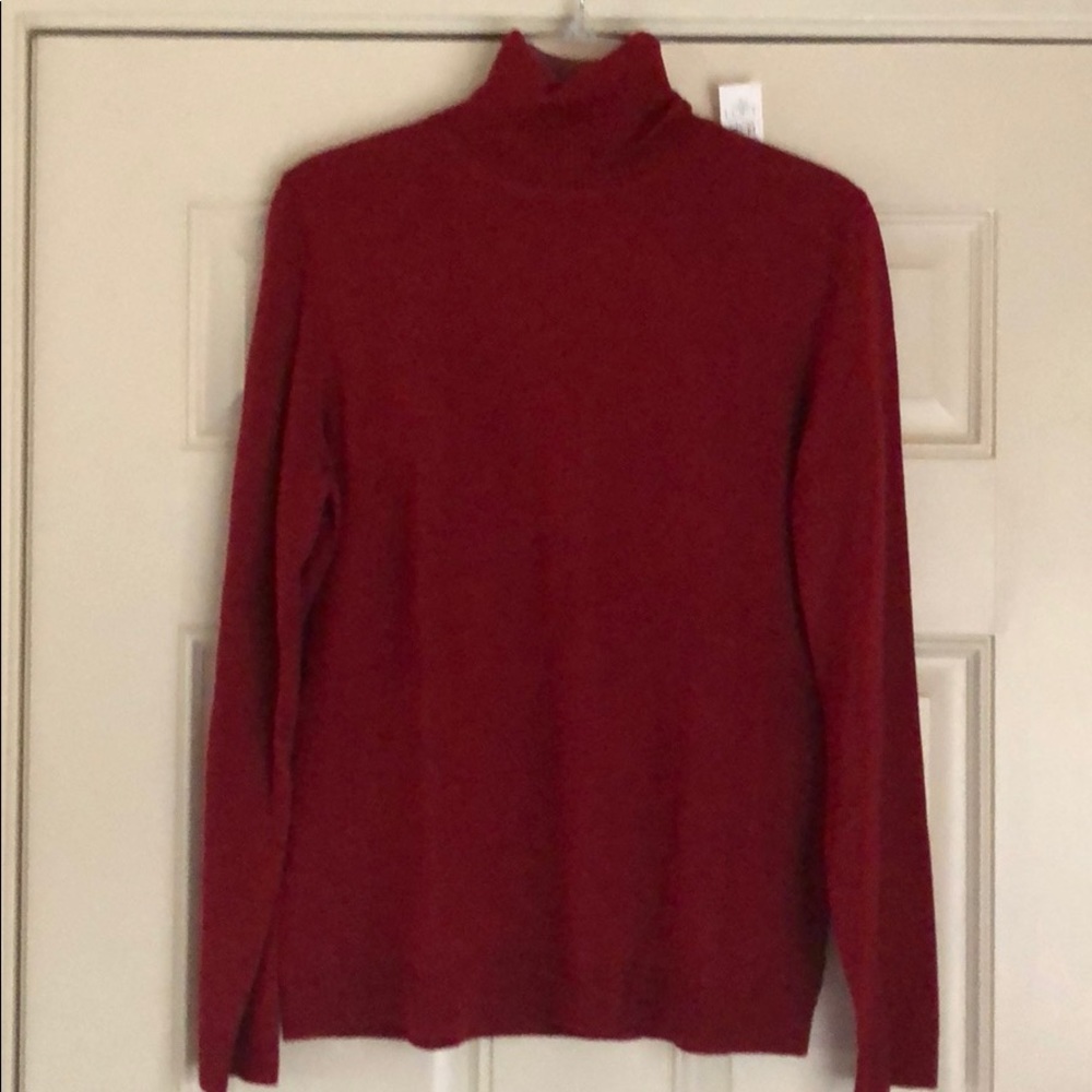 Turtleneck Sweater NWT